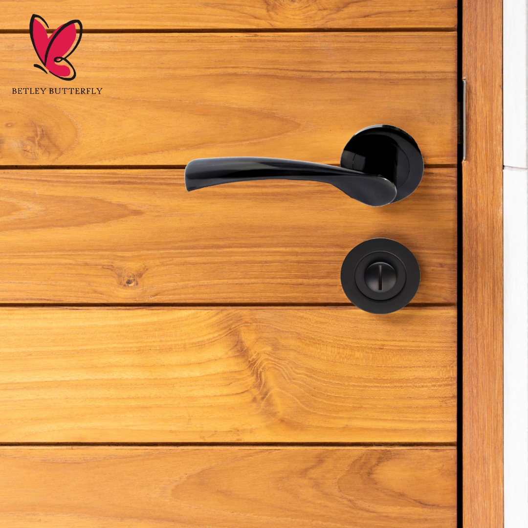 Poignée de porte Astrid à levier pivotant sur rosace - Nickel noir 120 mm