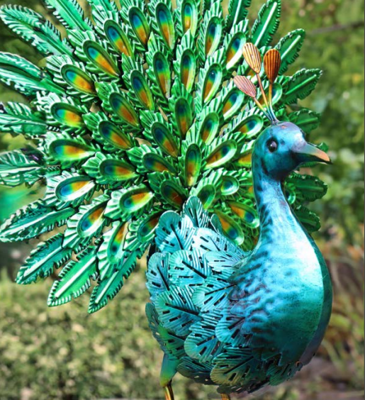 Vibrant Emerald Fantail Peacock