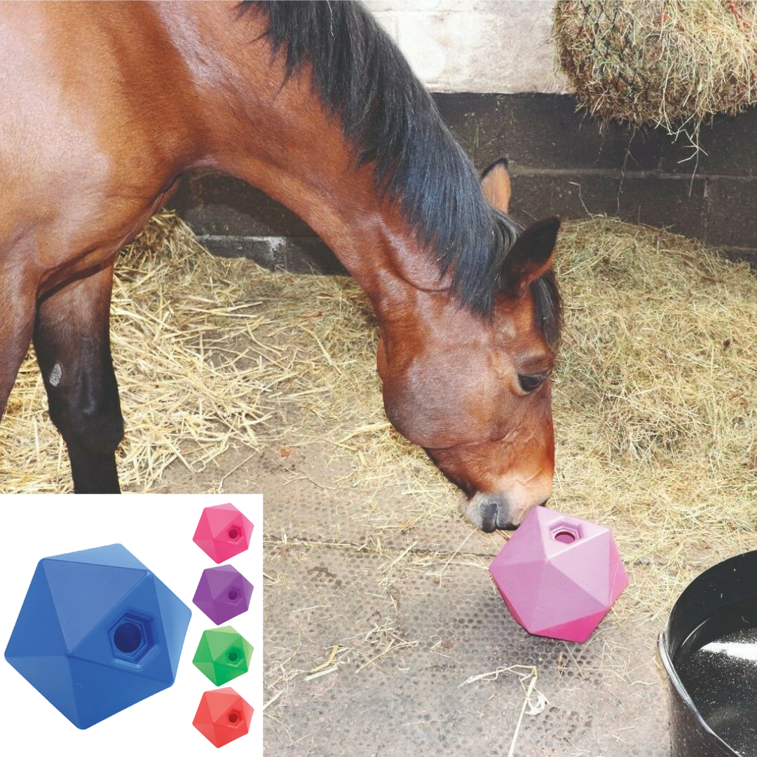 Boule de nourriture moulée monobloc Perry Equestrian Equi-Feeder pour friandises contre l'ennui pour chevaux