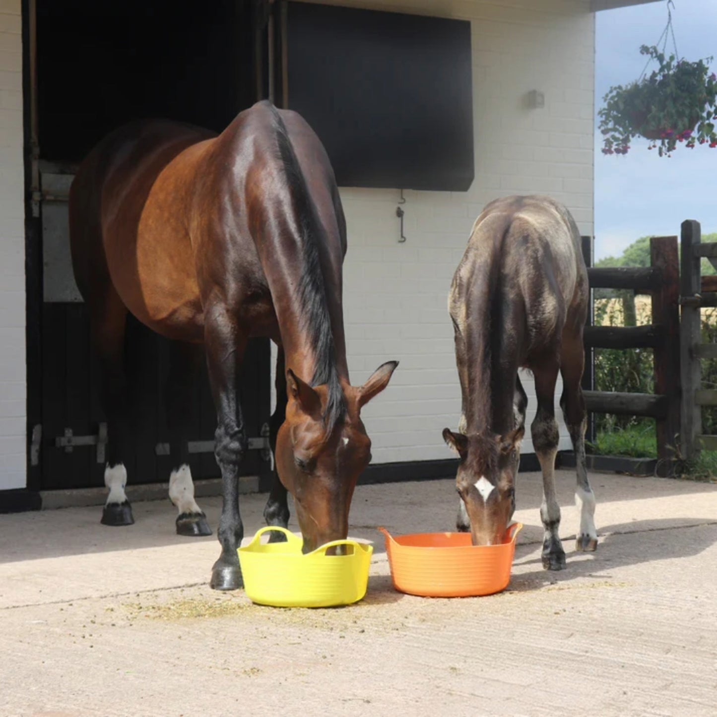 Marketplace JPG companion for Perry Equestrian Flexi Fill Shallow Tubs/Trugs 15 Litre Capacity