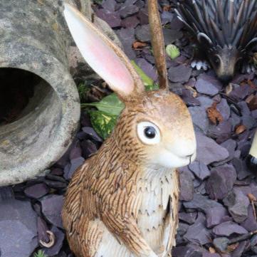 Metal Inquisitive Brown Rabbit