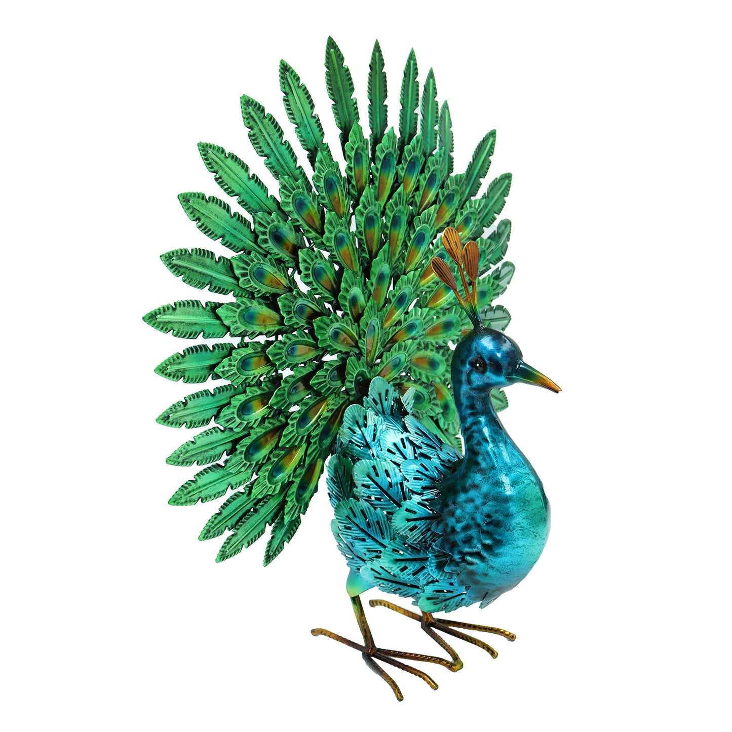 Vibrant Emerald Fantail Peacock