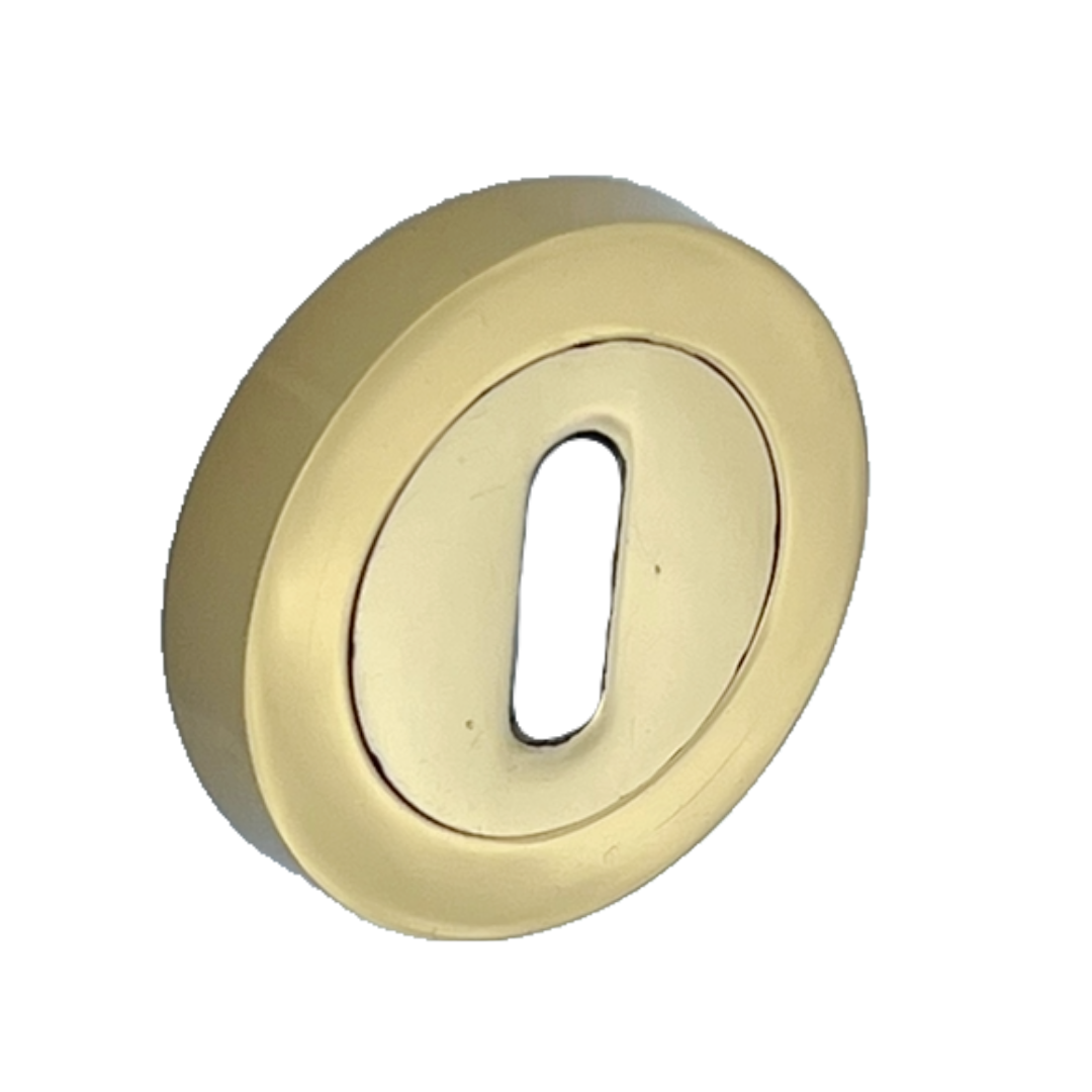 Escutcheon Polished Brass Pair Keyhole Cover Mortice Door Lock Cover