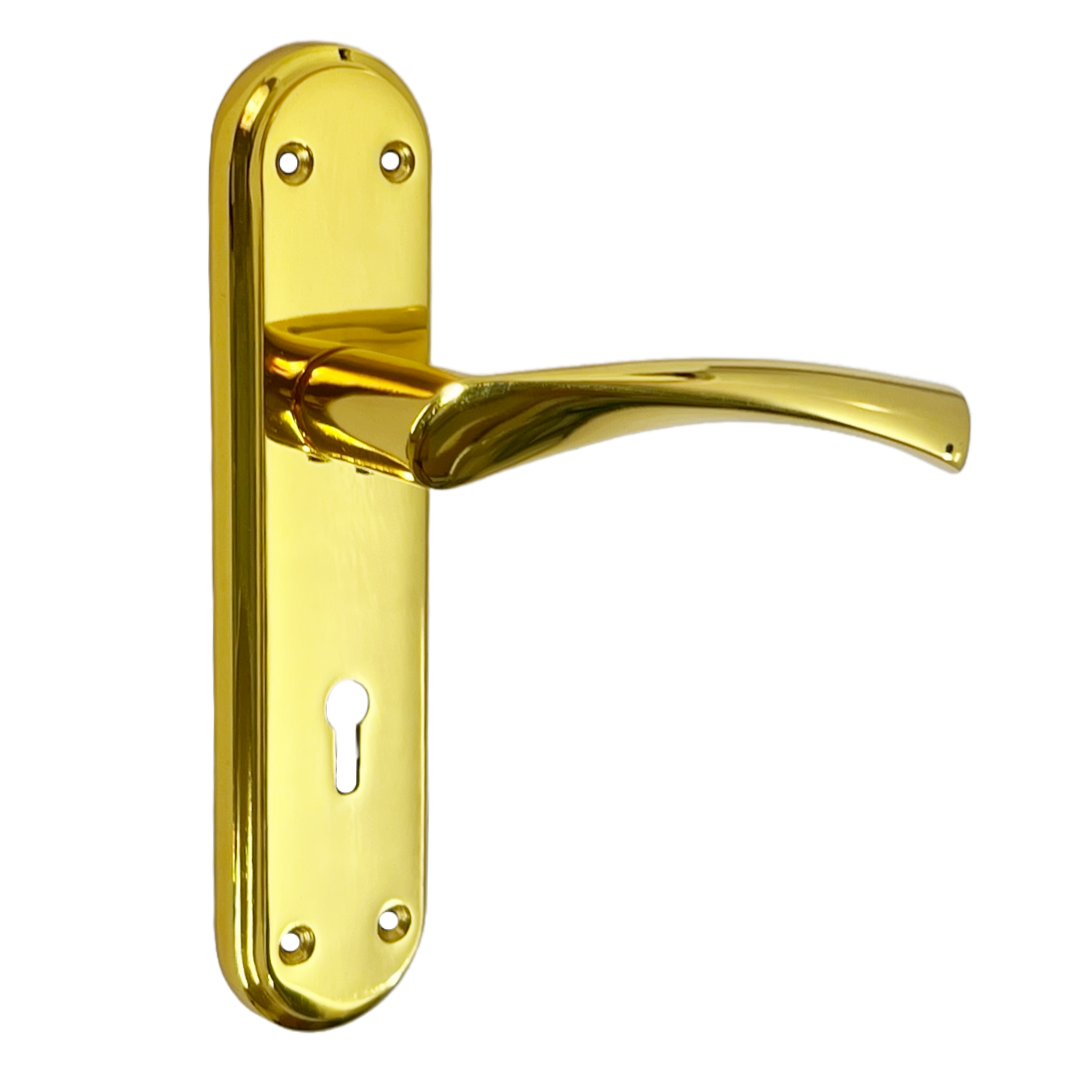 Genova Door Handles Polished Brass Twist Lever Lock on Modern Marina Backplate