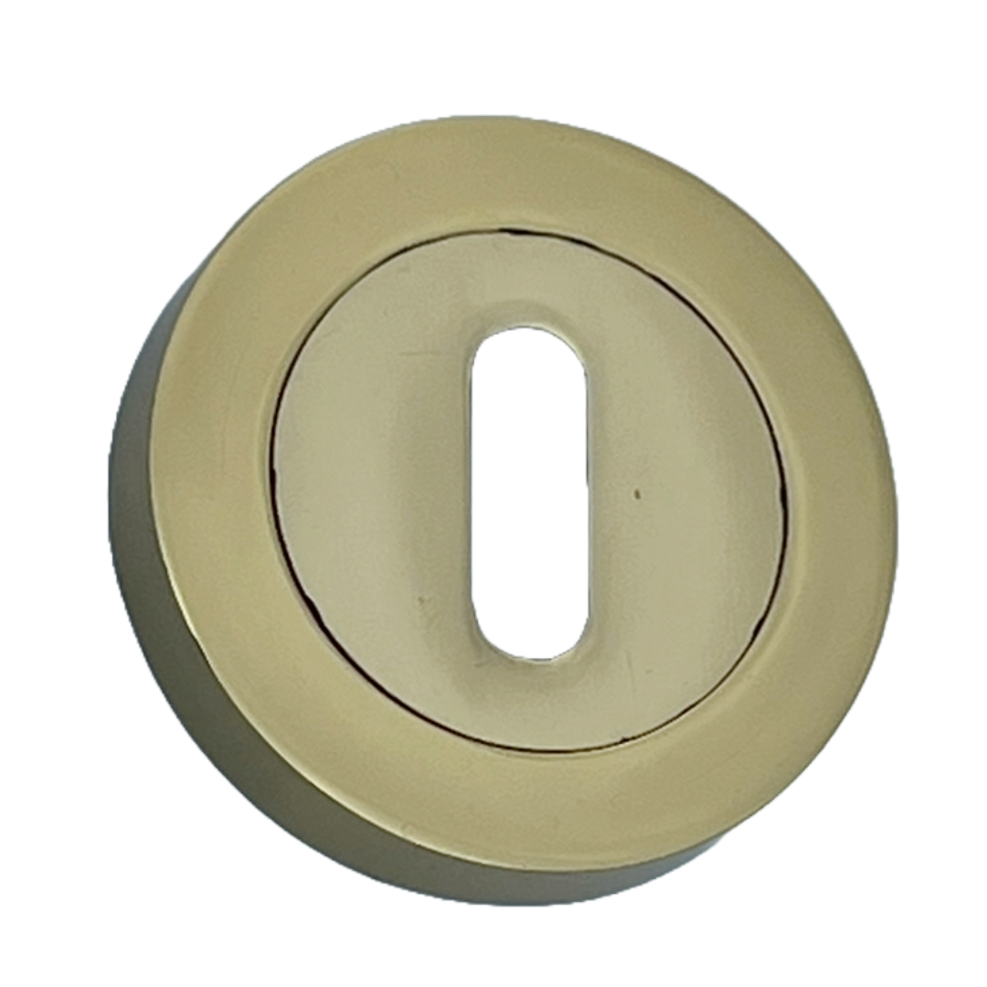 Escutcheon Polished Brass Pair Keyhole Cover Mortice Door Lock Cover