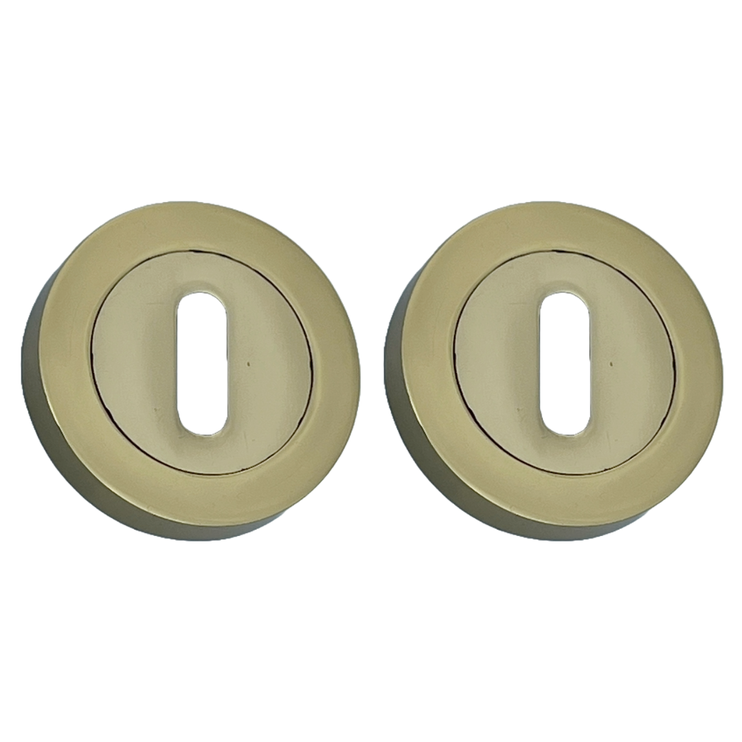 Escutcheon Polished Brass Pair Keyhole Cover Mortice Door Lock Cover