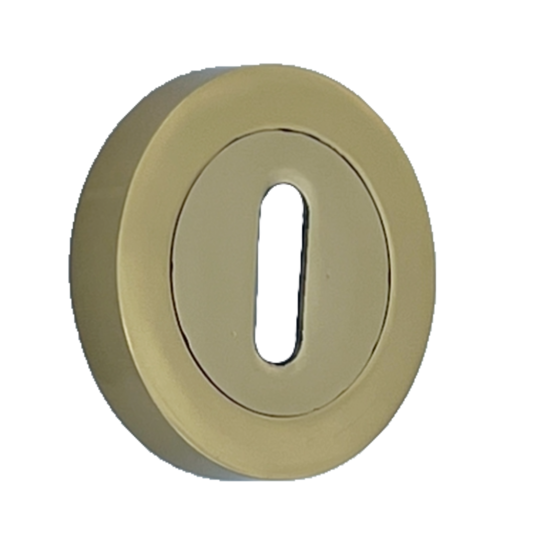Escutcheon Polished Brass Pair Keyhole Cover Mortice Door Lock Cover