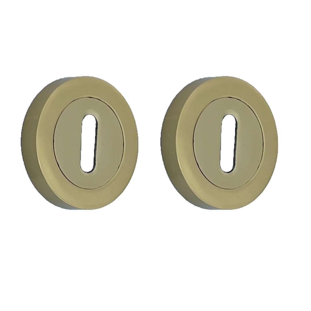 Escutcheon Polished Brass Pair Keyhole Cover Mortice Door Lock Cover