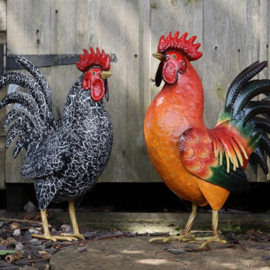 Chicken Cockerel Red Black White Metal Garden Sculpture - Lifelike Farmyard Outdoor Decoration