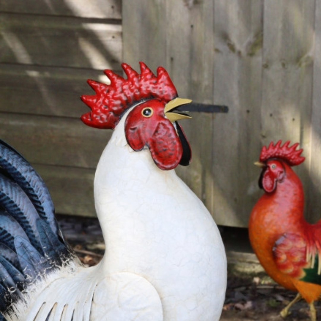 Chicken Cockerel Red Black White Metal Garden Sculpture - Lifelike Farmyard Outdoor Decoration