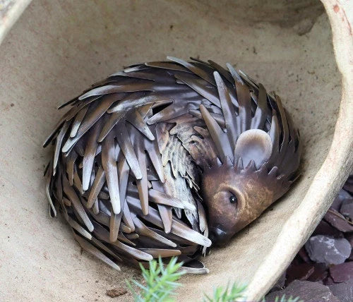 Metal Woodland Sleeping Hedgehog