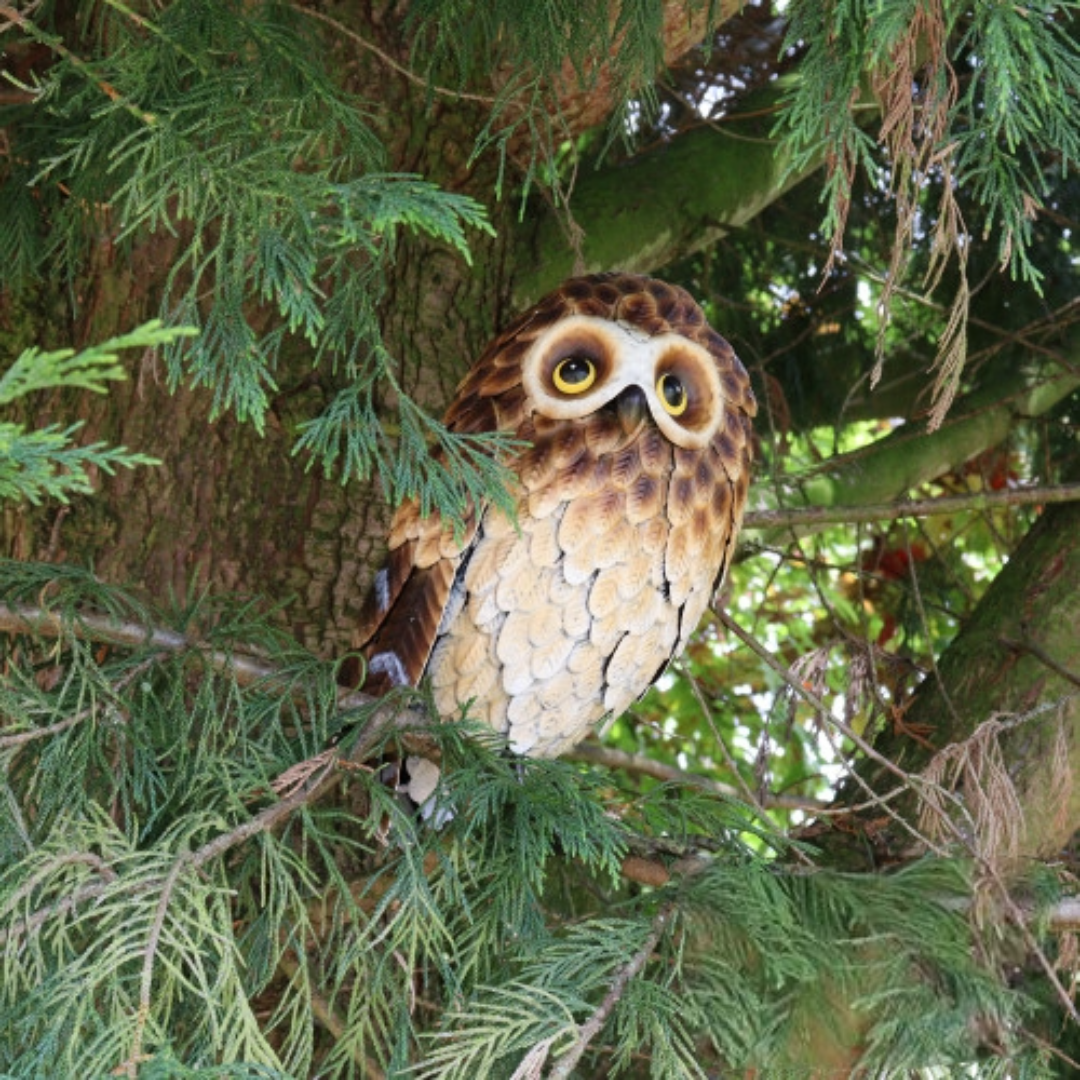 Standing Metal Brown Owl