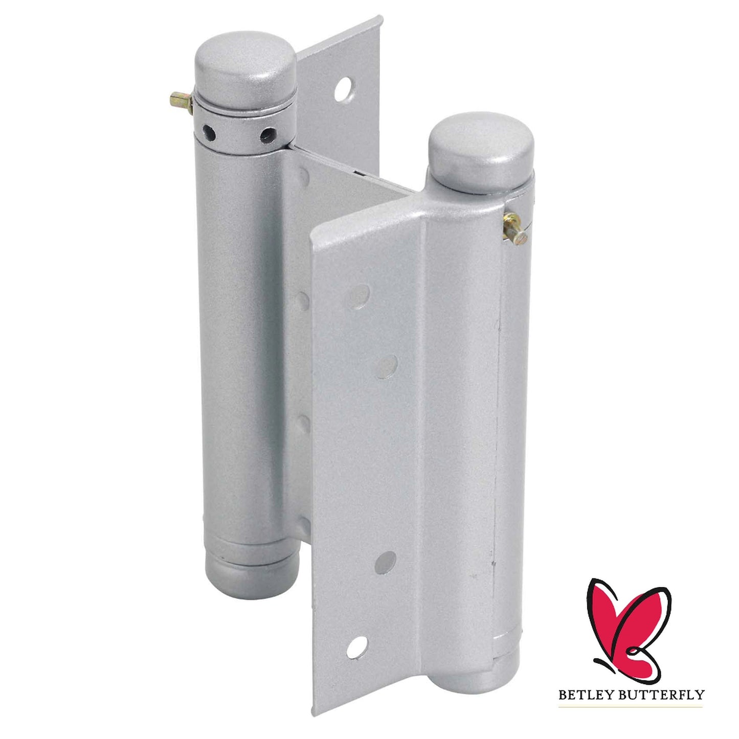 Marketplace JPG companion for Spring Door Hinges Double Action + Fittings 75 100 125 150mm Silver Laq Swing