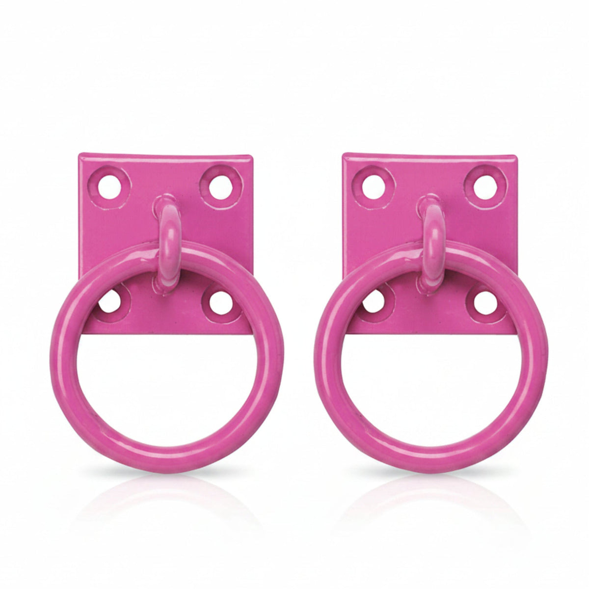 Perry Equestrian 2 Pack Tie Ring on 50mm Plate Stable Tie Up Ring Horse Pony