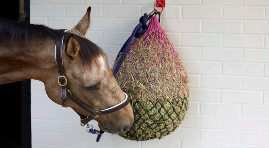 Perry Large Mesh Ring Hole Polypropylene Equestrian Hay Nets Horse Feeder D1