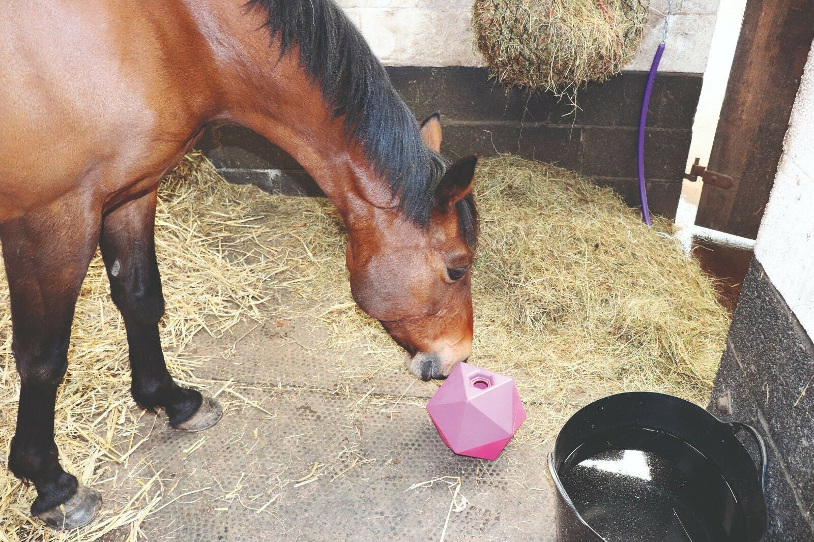 Perry Equestrian Equi-Feeder One Piece Moulded Feed Ball Boredom Treat Horse D5