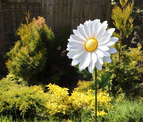 PS8560 (2)_edited.jpg