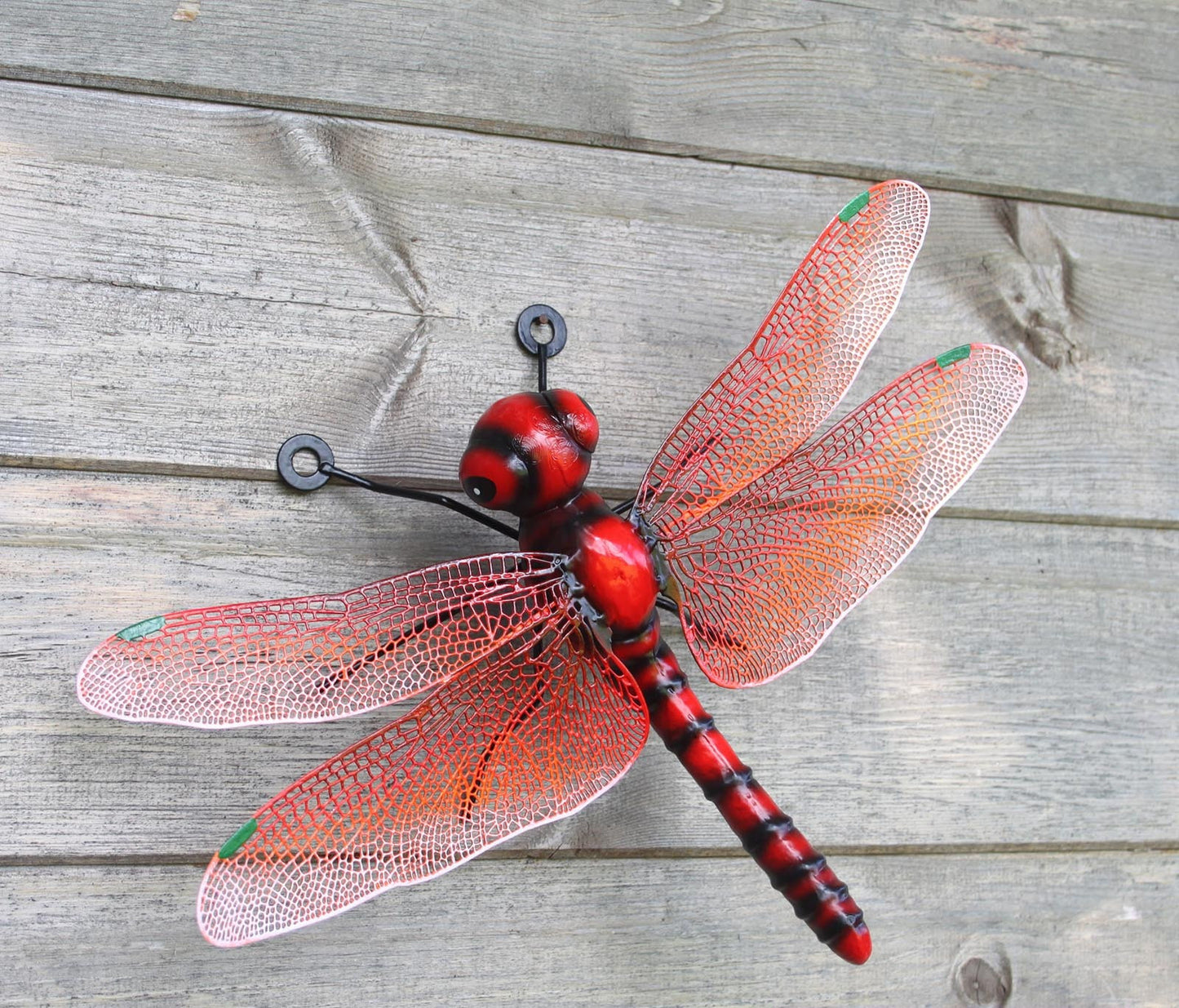 Metal Dragonfly Wall Art - Green, Blue & Red