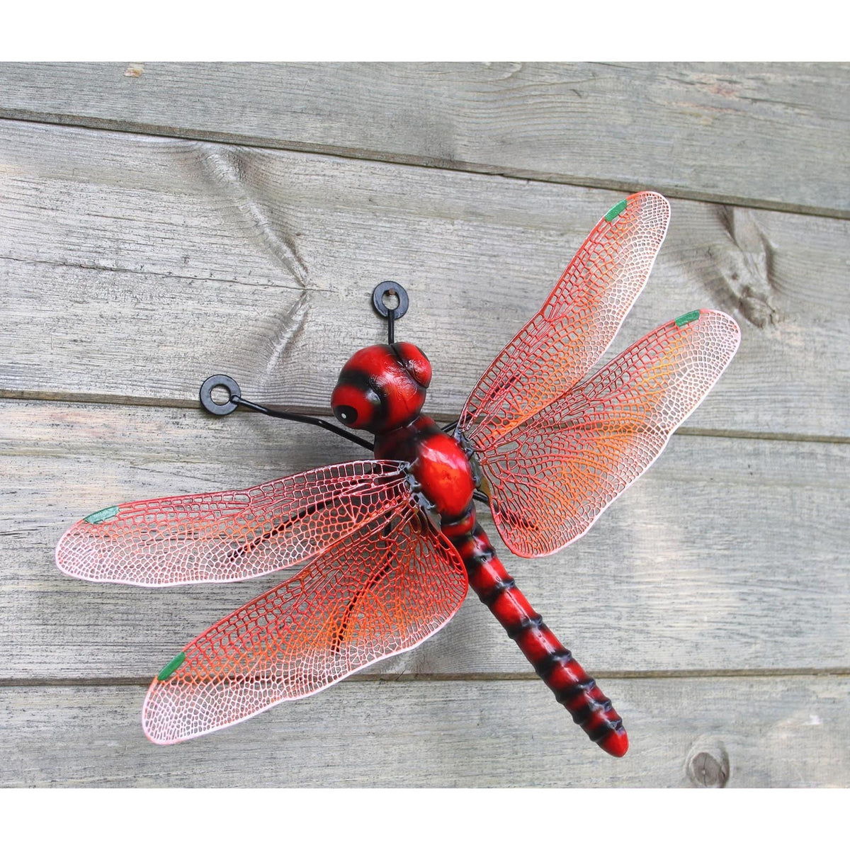 Metal Dragonfly Wall Art - Green, Blue & Red - 30cm