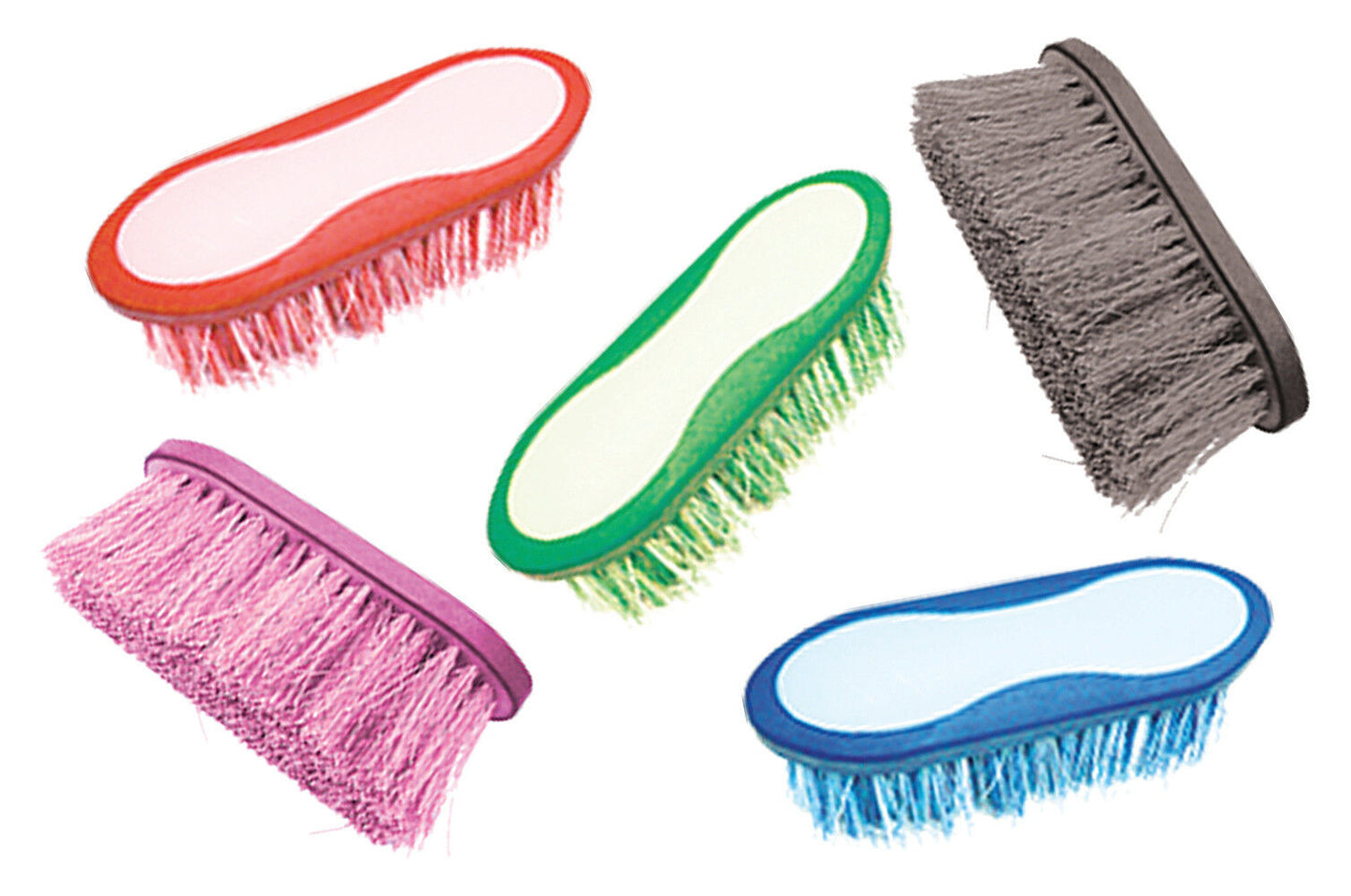Perry Equestrian 40mm Bristle Grooming Colourful Dandy Brushes Horse Pony D1