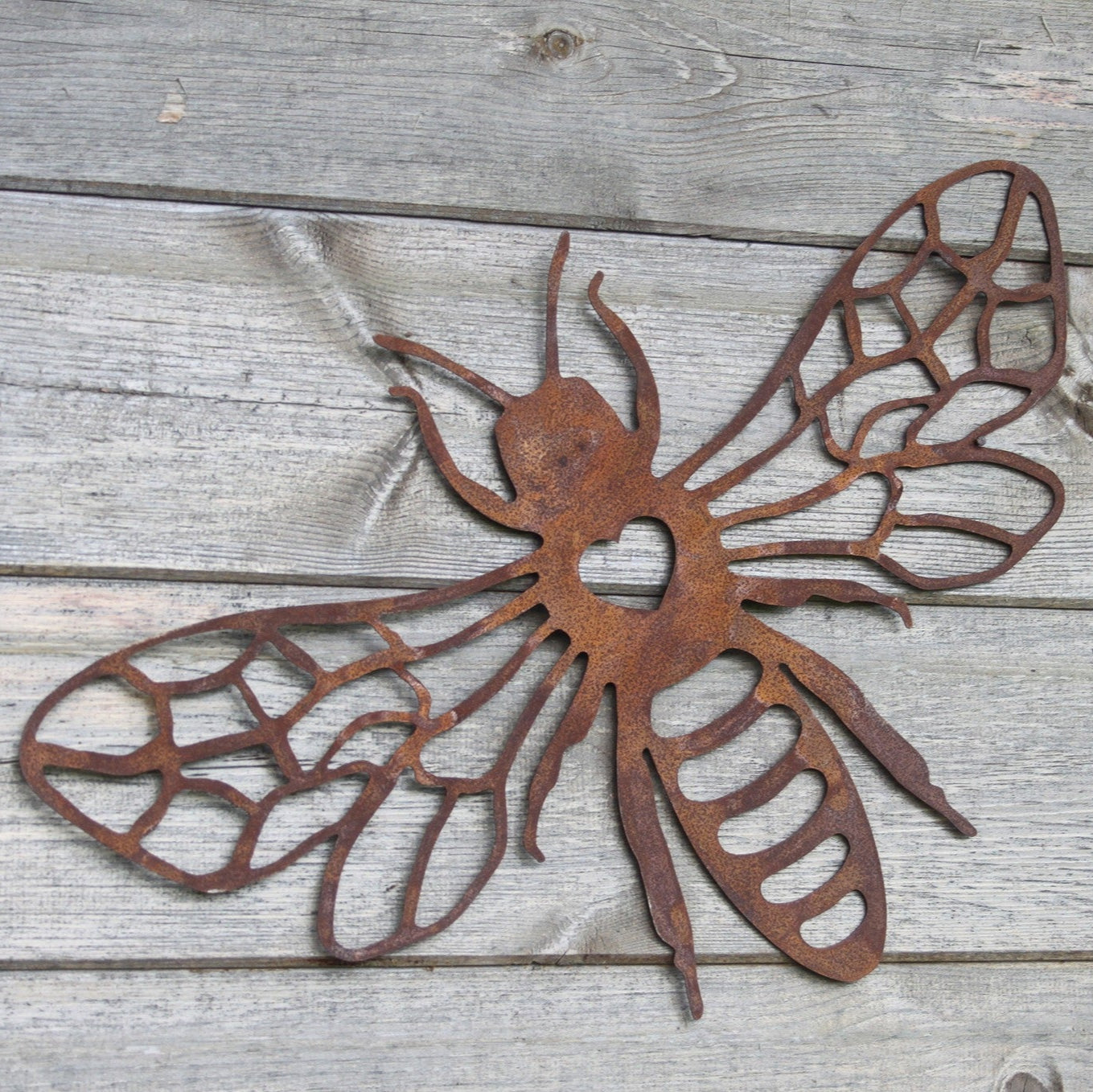 PA5000 (2)_edited.jpg