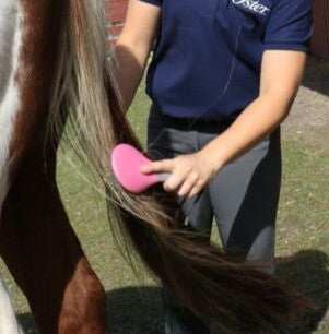 Perry Equestrian Ergonomic Tail & Mane Brush Horse Pony Grooming Pet Kit  D1