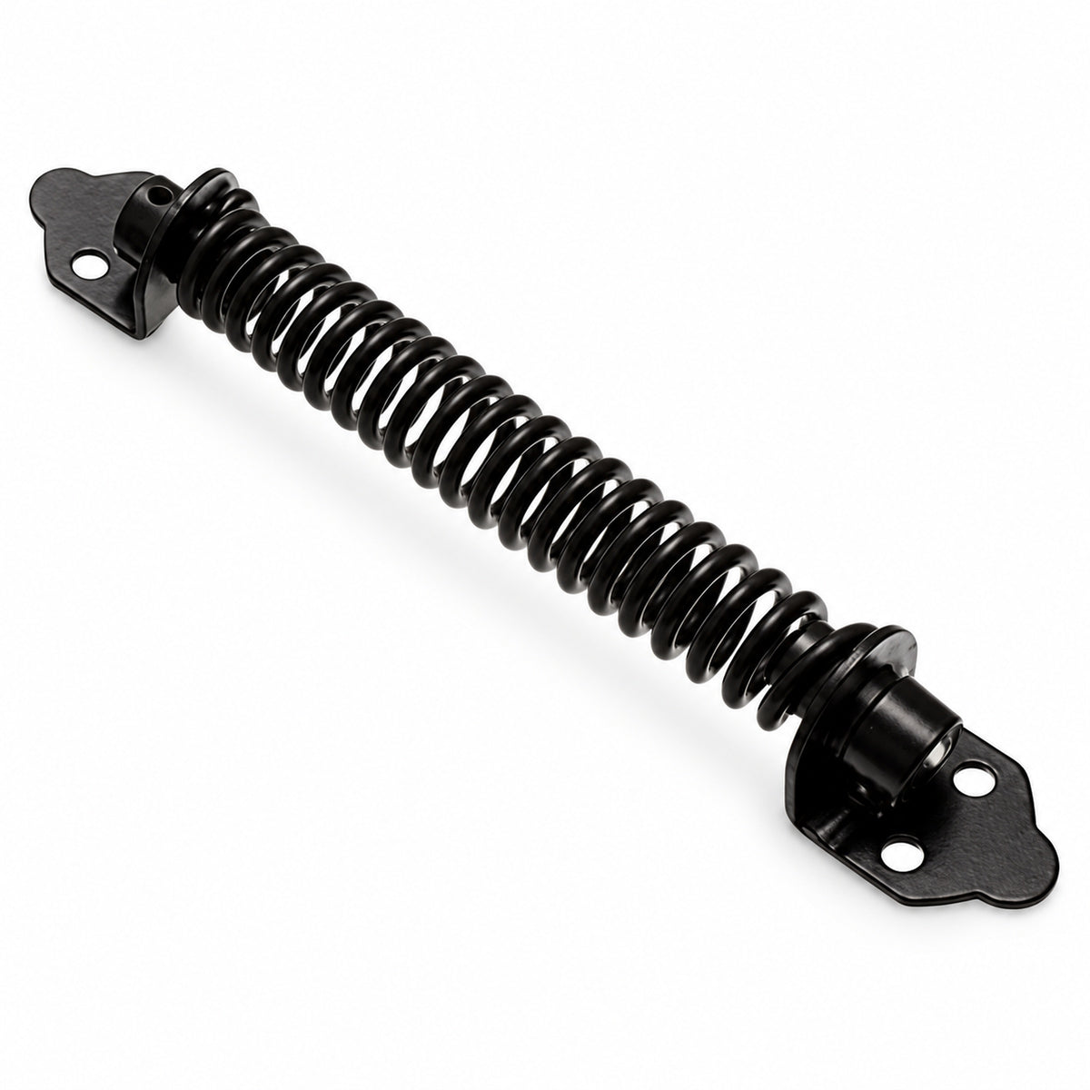 Ornamental Black Gate Spring product image 2