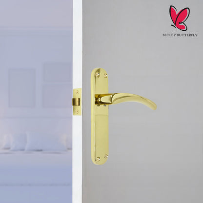 Marketplace JPG companion for Monja Astrid Door Handles Arched Lever Polished Brass Latch