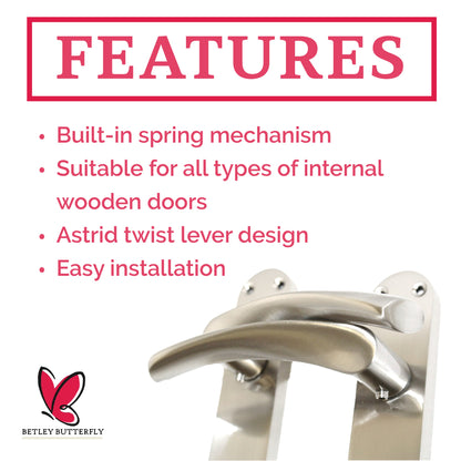 Marketplace JPG companion for Monja Astrid Door Handles Arched Lever Satin Key Lock