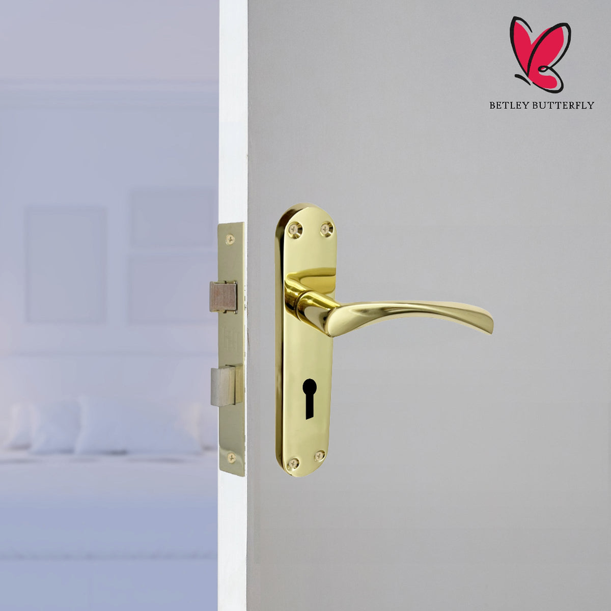 Marketplace JPG companion for Monja Astrid Door Handles Arched Lever Polished Brass Key Lock