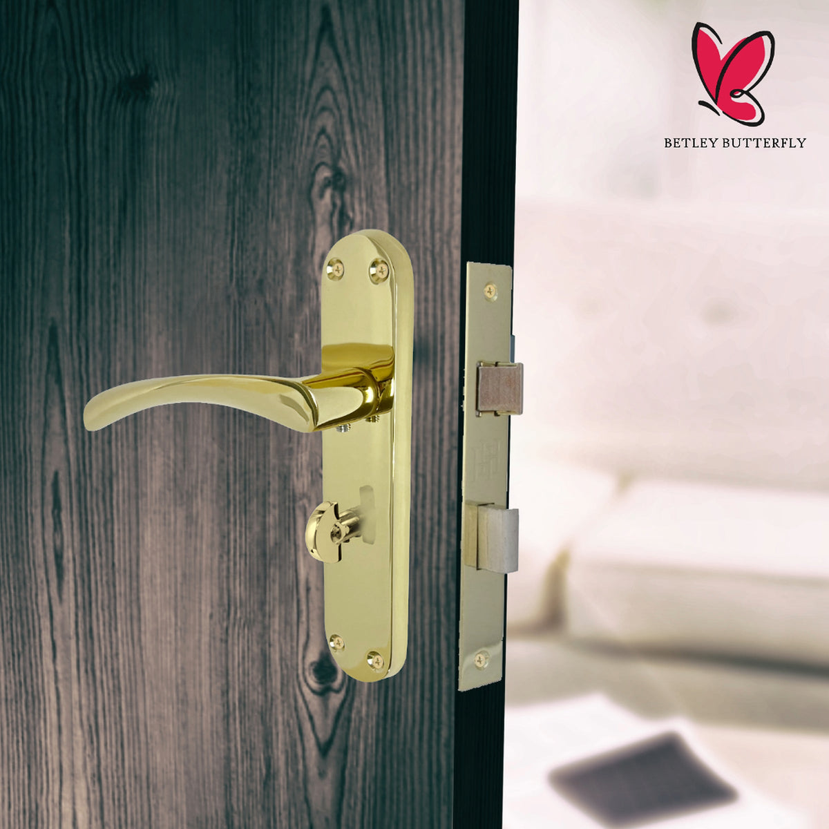 Marketplace JPG companion for Monja Astrid Door Handles Arched Lever Polished Brass Bathroom Lock Pack