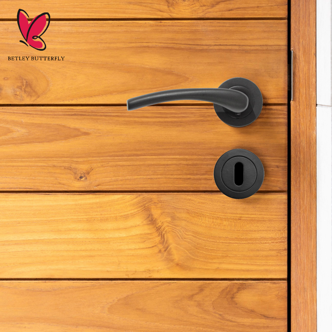 Zena Door Handle Modern Design Matt Black Lever on Rose Internal Latch Handles