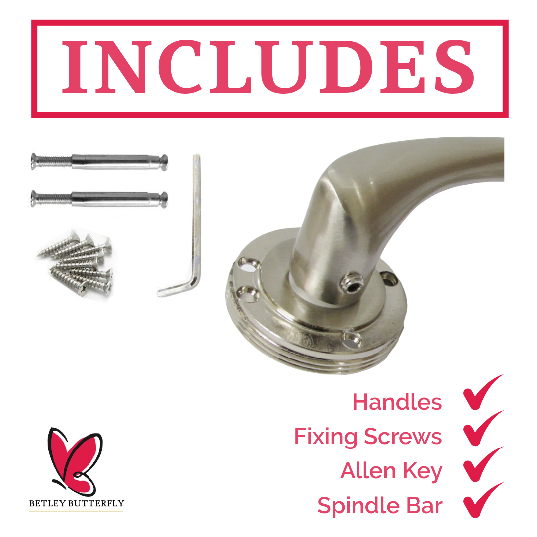 Zena Door Handle Modern Design Satin Nickel Lever on Rose Internal Latch Handles