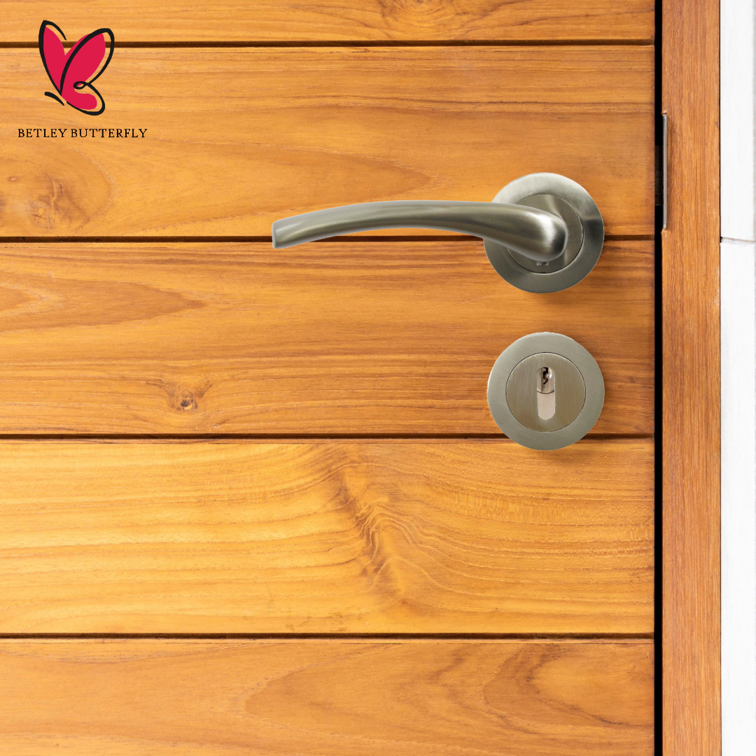 Zena Door Handle Modern Design Satin Nickel Lever on Rose Internal Latch Handles