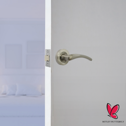 Zena Door Handle Modern Design Satin Nickel Lever on Rose Internal Latch Handles