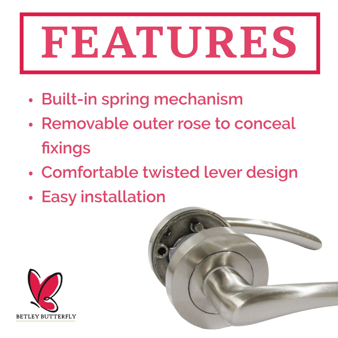 Zena Door Handle Modern Design Satin Nickel Lever on Rose Internal Latch Handles