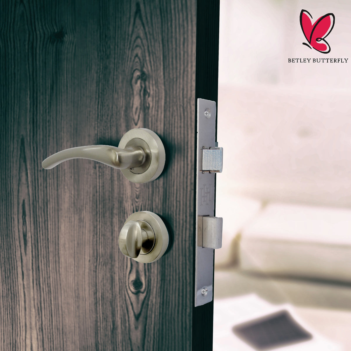 Marketplace JPG companion for Zena Door Handle Modern Design Satin Nickel Lever on Rose Internal Latch Handles