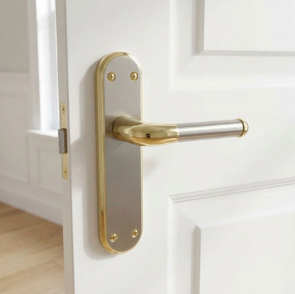 Marina Door Handle Two Tone Latch Lever - Brass and Satin