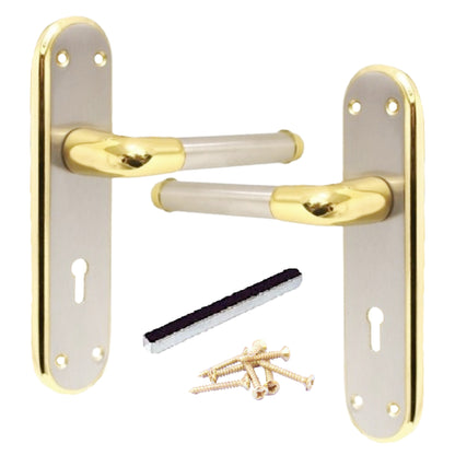 Marina Door Handle Two Tone Lock Lever - Brass and Satin