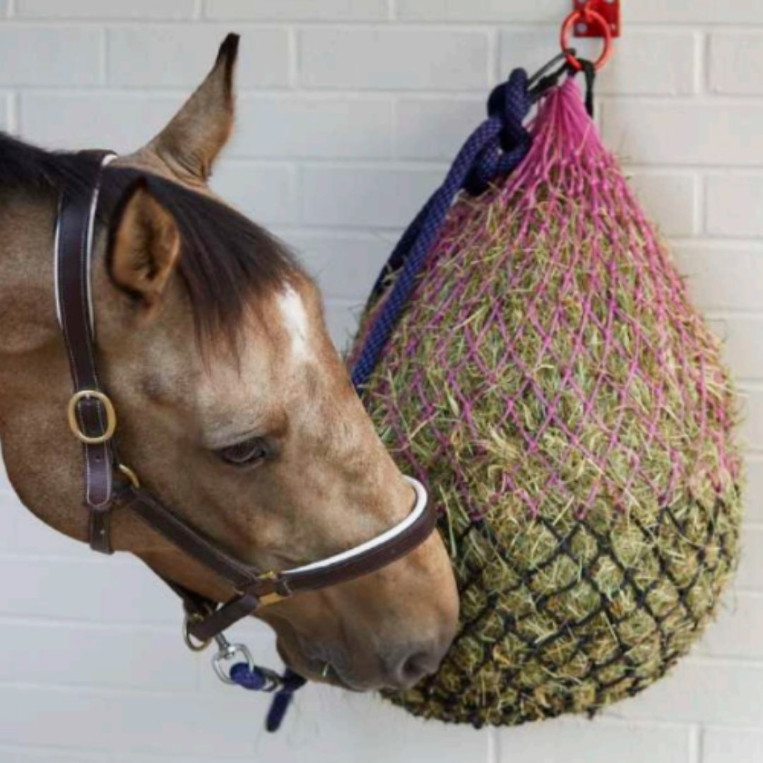 Perry Large Mesh Ring Hole Polypropylene Equestrian Hay Nets Horse Feeder