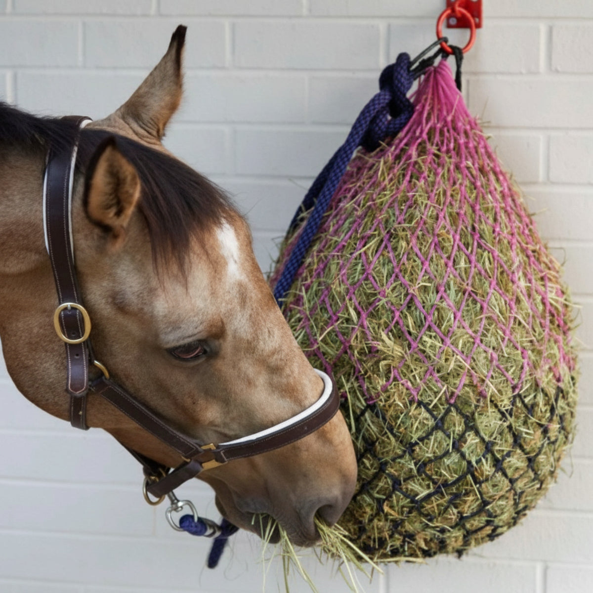 Marketplace JPG companion for Perry Large Mesh Ring Hole Polypropylene Equestrian Hay Nets Horse Feeder - 2.6" x 2.6"