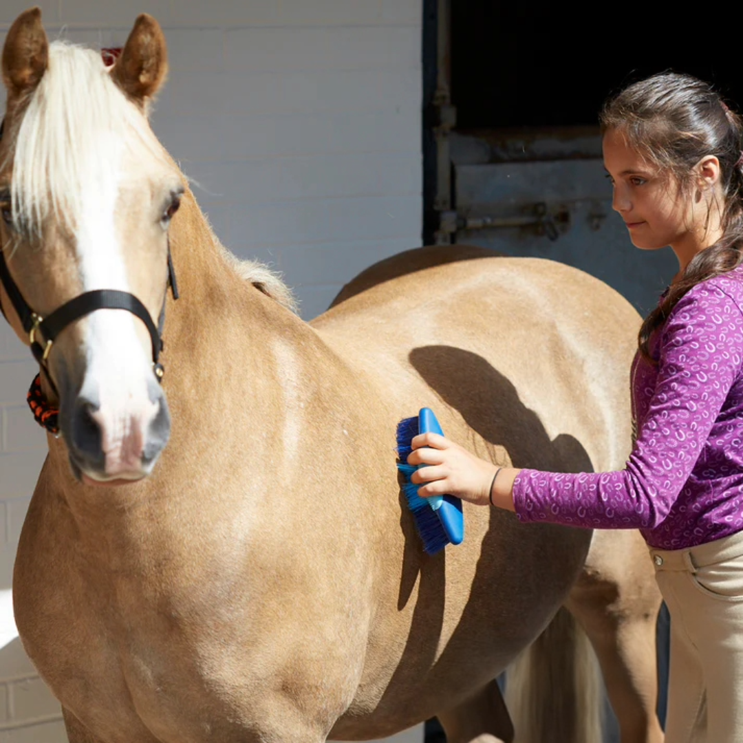 Perry Equestrian Long Body Brush Grooming Horse Pony Pet Grooming Colour