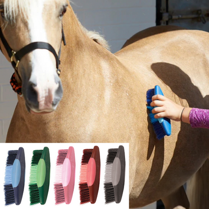 Perry Equestrian Long Body Brush Grooming Horse Pony Pet Grooming Colour