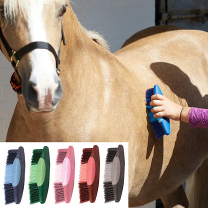 Marketplace JPG companion for Perry Equestrian Long Body Brush Grooming Horse Pony Pet Grooming Colour