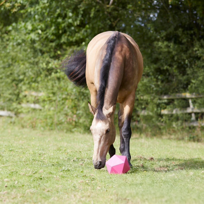 Perry Equestrian Equi-Feeder One Piece Moulded Feed Ball Boredom Treat Horse