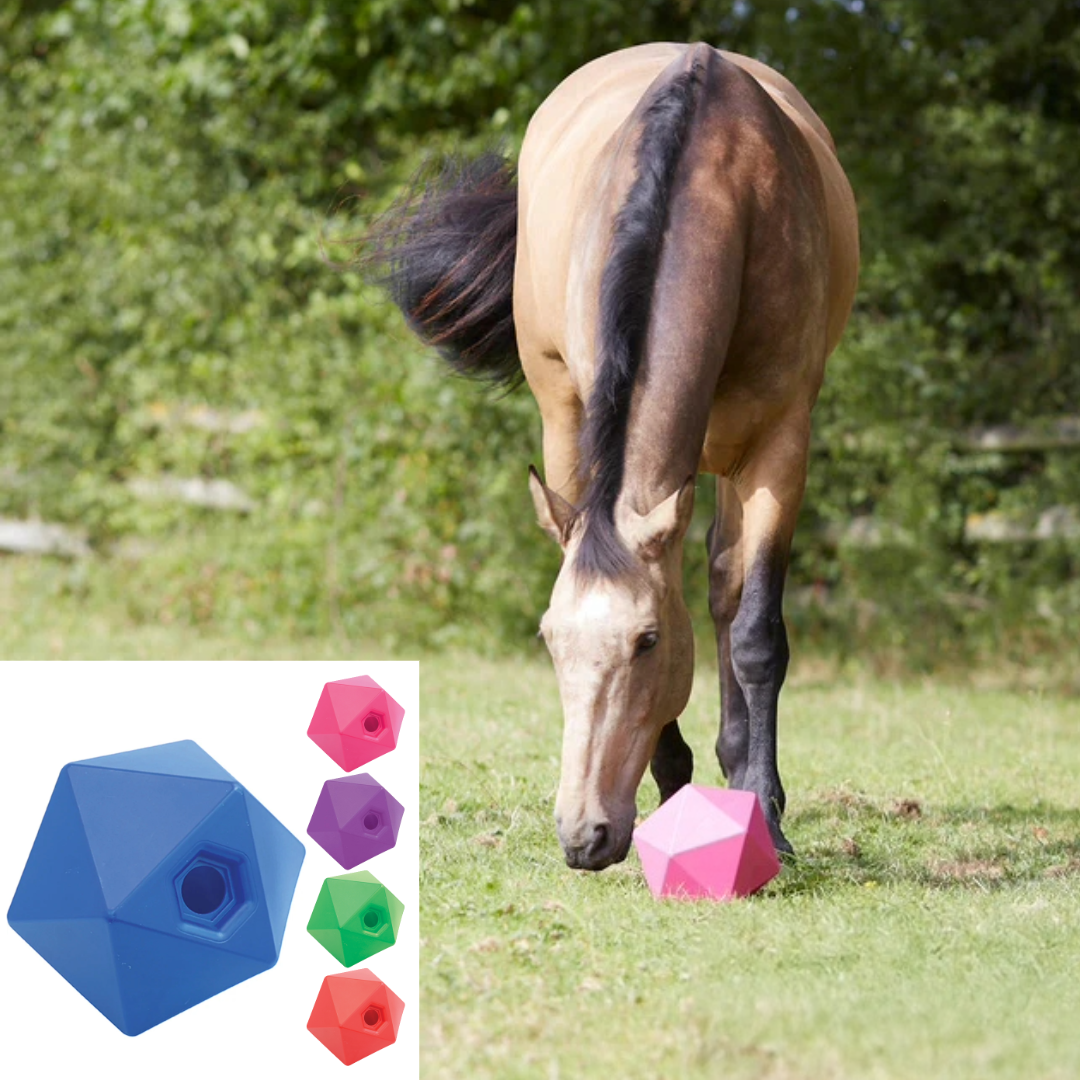 Perry Equestrian Equi-Feeder One Piece Moulded Feed Ball Boredom Treat Horse