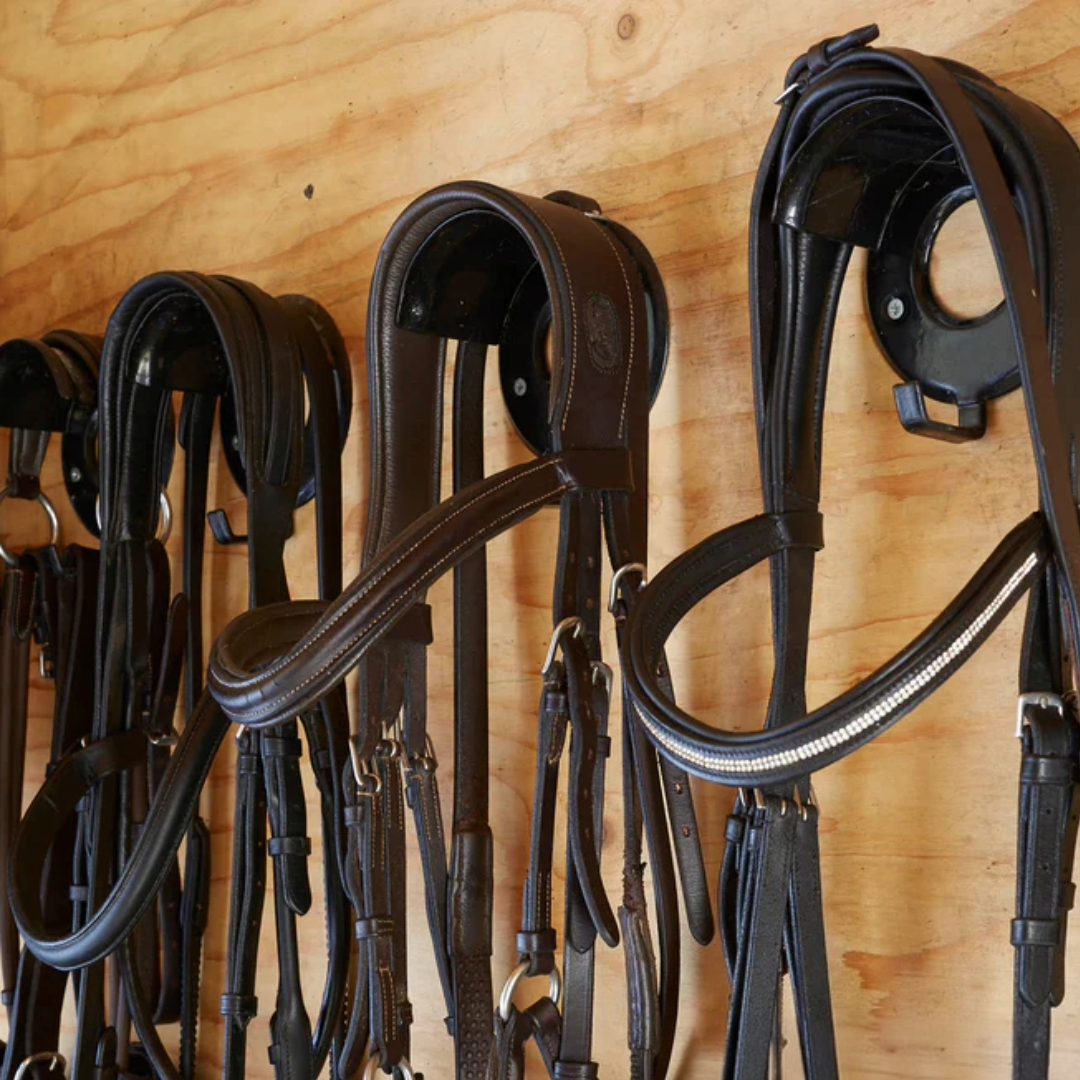 Perry Equestrian Bridle Brackets Stable Accessories Horse Pony Free Delivery