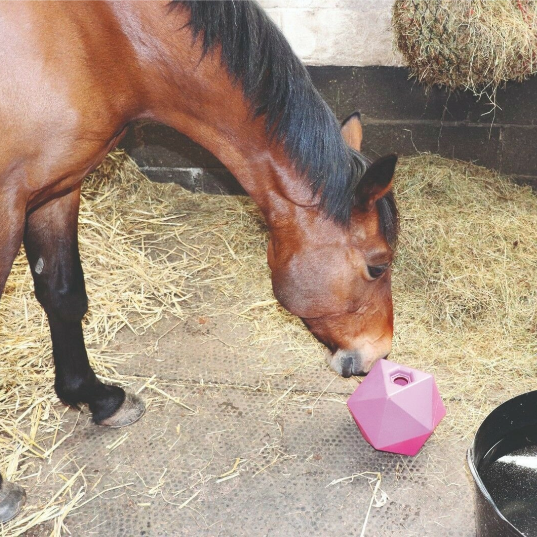 Perry Equestrian Equi-Feeder One Piece Moulded Feed Ball Boredom Treat Horse