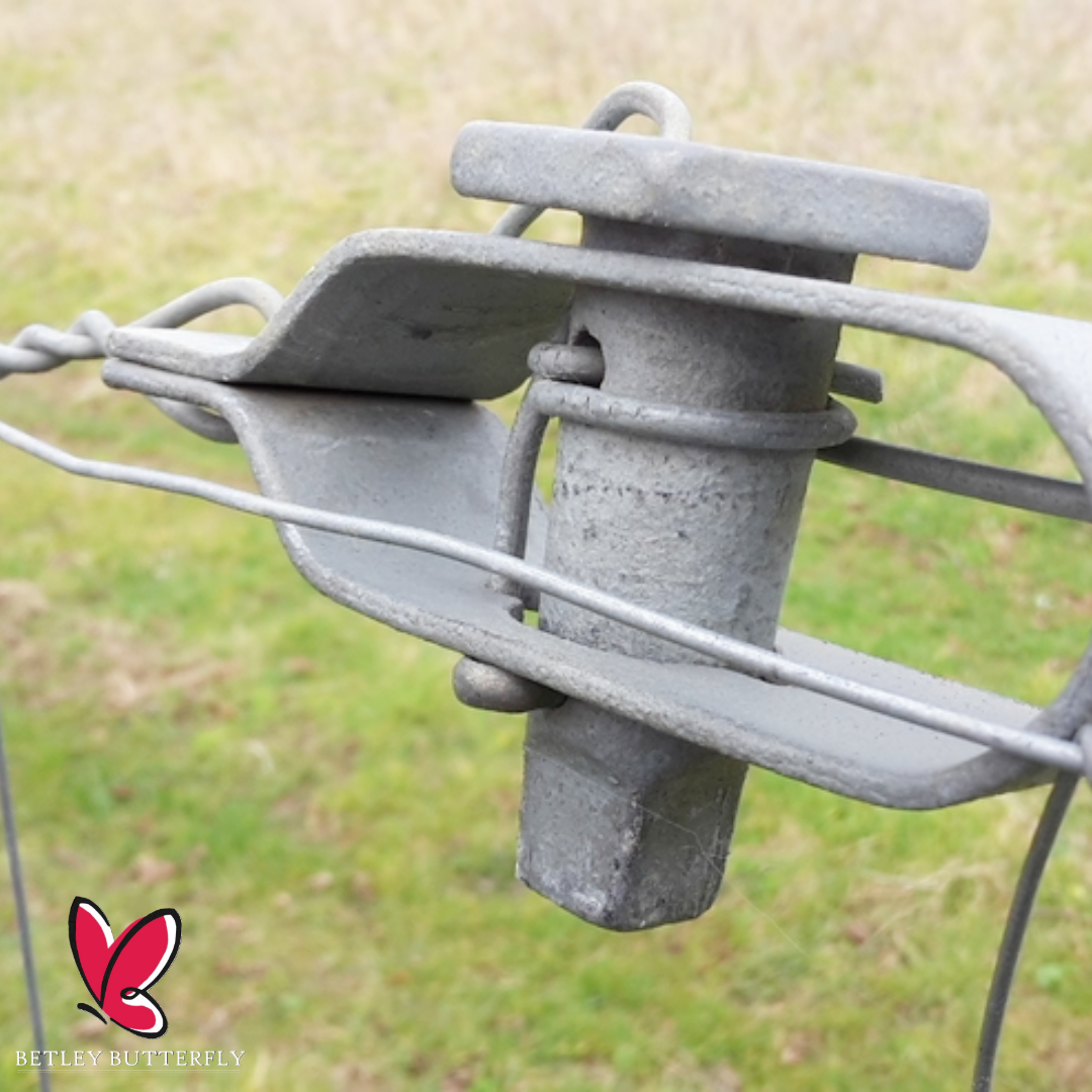 Tendeur de fil de clôture Radisseur 2/5/10 en acier galvanisé 120 mm à cliquet