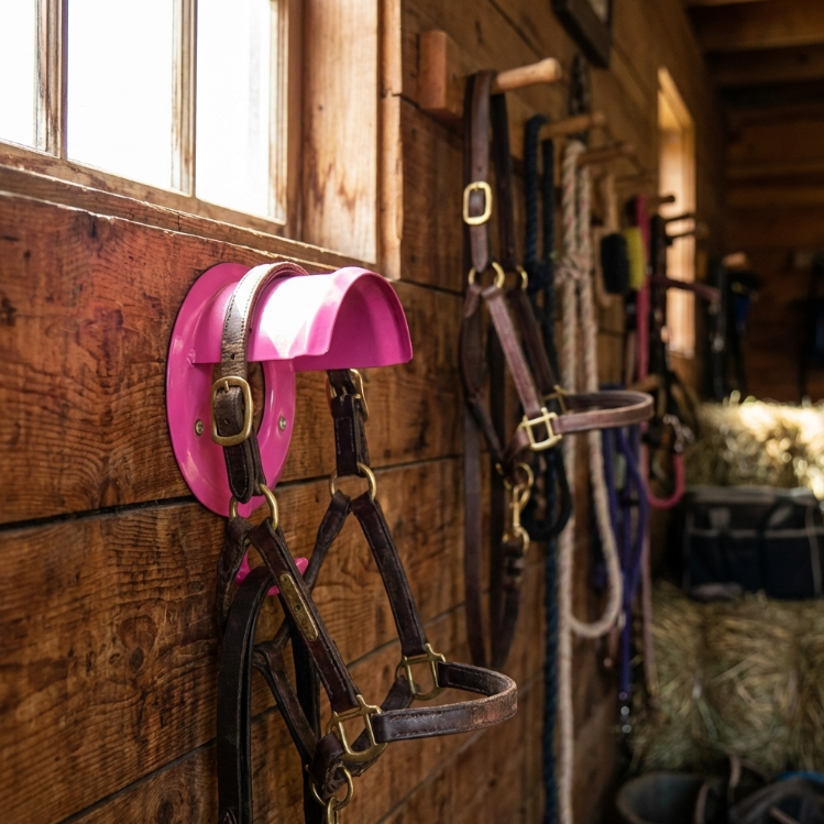 Supports de bride Perry Equestrian Accessoires d'écurie Cheval Poney Livraison gratuite